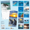 Kalender 2026Delfine