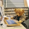 Kalender 2026Teddys