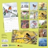Kalender 2026Vögel