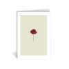 Klappkarte – Klatschmohn