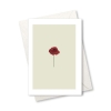 Klappkarte – Klatschmohn