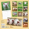Calendar 2027Piggies