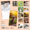 Kalender 2027Katzen