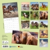Kalender 2027Pferde
