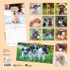 Kalender 2027Hundewelpen
