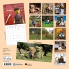 Kalender 2027Teddys World