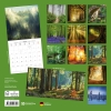 Kalender 2027Unser Wald