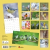 Kalender 2027Vögel