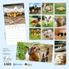 Kalender 2027Tiere vom Bauernhof