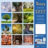 Kalender 2027Trees