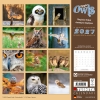 Kalender 2027Magic Owls