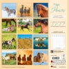 Kalender 2027Magic Horses