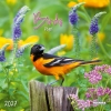 Kalender 2027Birds