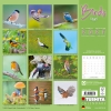 Kalender 2027Birds