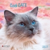 Kalender 2027Cool Cats