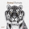 Calendar 2027Animal Portraits