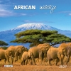 Kalender 2027African Wildlife