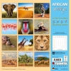 Kalender 2027African Wildlife