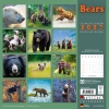 Kalender 2027Bears