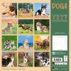 Kalender 2027Dogs
