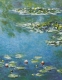 Blankbook - Monet The Water Lily Pond