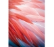 Blankbook – Flamingo Feathers (Auslaufartikel)