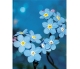 Blankbook - Wildflower