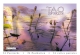 Postkartenbuch – Tao of Peace