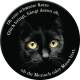 Magnet – Ob eine schwarze Katze