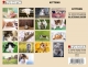 Postkartenbuch – Kittens