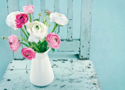 White and Pink Flowers on light blue chair