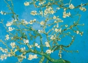 Vincent van Gogh - Branches d´Amadier en Fleurs