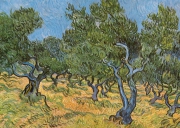 Vincent van Gogh - Olivenhain