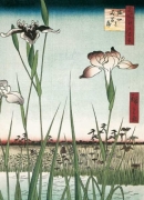 Ando Hiroshige - Horikiri Iris Garden