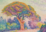 Paul Signac - The Pine Tree at St. Tropez