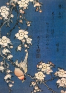 Hokusai - Stieglitz und Kirschbaum
