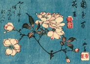 Hiroshige - Kirschblten