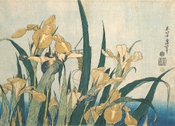 Hokusai - Grasshopper and Iris