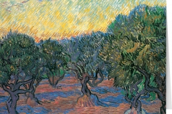Vincent van Gogh - Olive Orchard (1889)