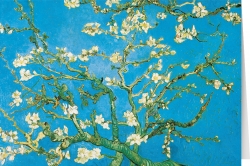 Blossoming almond tree