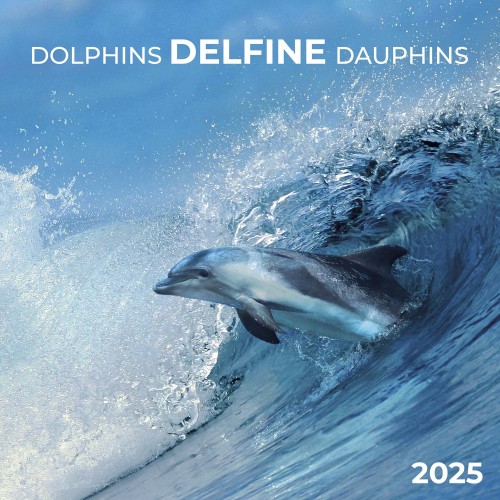 Dolphins/Delfine