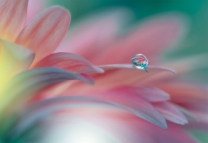 Klappkarte - Floral Flow