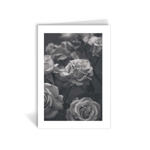 Greeting Card – Rosen Greeting Card – Rosen