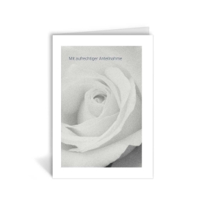 Greeting Card – Mit aufrichtiger Anteilname Greeting Card – Mit aufrichtiger Anteilname