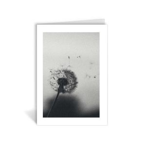 Klappkarte – Pusteblume Klappkarte – Pusteblume
