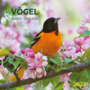 Calendar 2027Birds