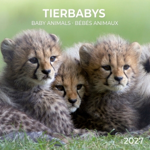 Calendar 2027Baby Animals