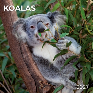 Kalender 2027Koalas