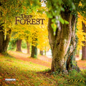 Kalender 2027Deep Forest