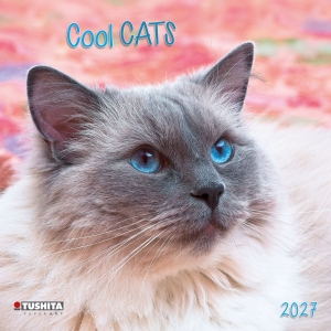 Kalender 2027Cool Cats